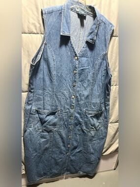 Sleeveless Blue Denim Button-Front Dress